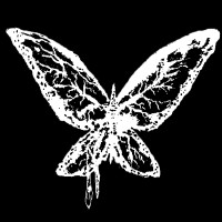 Forever and Always logo - Similar company to Av Media Nz