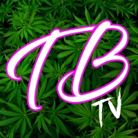 True Buds Tv Llc