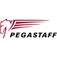Pegastaff / Pegasoft
