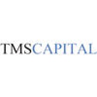 TMS Capital Ltd logo - Similar company to Surenet Technologies Llc