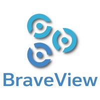BraveView, Inc. logo - Similar company to Digital Engage