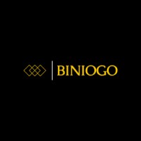 Biniogo Digital Solutions logo - Similar company to Venture Creative Collective