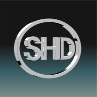 1/2 Decent logo - Similar company to Chua Group