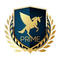 Prime Skills Training Academy logo - Similar company to Primeskill
