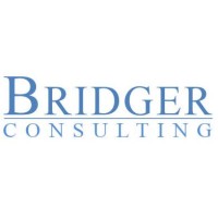 Bridger Vietnam Consulting logo - Similar company to Shinera Pte. Ltd.