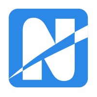 Net Surfing Srl logo - Similar company to Laser Informatica Srl