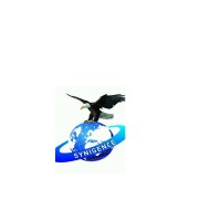 SYNIGECE ELECTRONIC & AUTOMATION PVT.LTD. logo - Similar company to Electronic Dummy Voting Machine