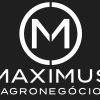 Maximus Agronegócio logo - Similar company to Conag - Agro Soluções
