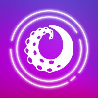 Octo Strategies logo - Similar company to 360Commerce