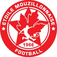 Étoile Mouzillonnaise Football logo - Similar company to Orvault Sf