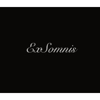 Exsomnis logo - Similar company to Mágicu