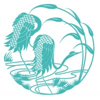 Insignia Imc