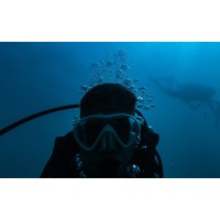 Commercial Diving Jobs logo - Similar company to Dcn Diving