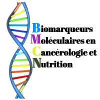BMCN logo - Similar company to Dac Adn