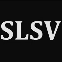 Sound and Light Social Ventures logo - Similar company to Omex Canada