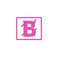 The Big Boss Group logo - Similar company to Debsireland.Com
