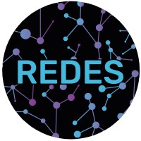 REDES - Asesoramiento Integral para el ámbito público - privado logo - Similar company to Tpcnet - Soluciones En Seguridad Electrónica
