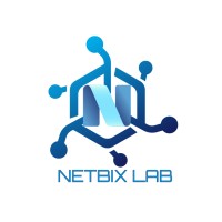 Netbix Lab logo - Similar company to Bizz Technology