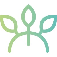 Mangrove logo - Similar company to Akiros It