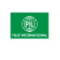 Pilot International Inc. logo - Similar company to Silvertech Smart Solutions