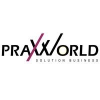 Praxworld Solution Business logo - Similar company to Securum Tecnologias De Informacion