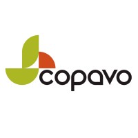 Copavo logo - Similar company to Realbridge Ab