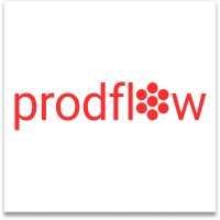 prodflow logo - Similar company to Hi Interactive