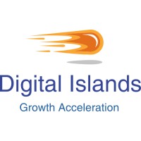 Digital Islands logo - Similar company to Neo-Synth