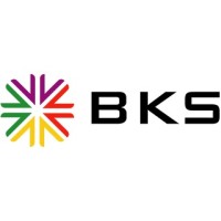 Business Kritical Solutions (BKS) logo - Similar company to Willwali ™