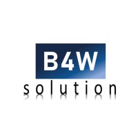 B4W Solution logo - Similar company to Hexagon Data Services