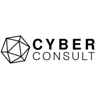 CyberConsult logo - Similar company to Vespasian Security