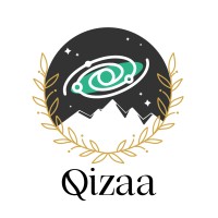 Qizaa logo - Similar company to Techaedu - Software Training Institute