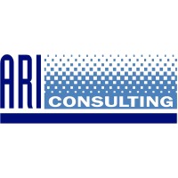 AriConsulting logo - Similar company to Holding Ari Capital