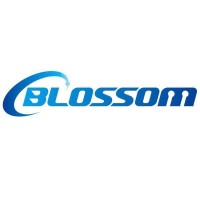 BLOSSOM TECHNOLOGY  CO.,LTD logo - Similar company to Blossom Tech