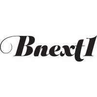 Bnext1 - Web Consulting logo - Similar company to Camel Digital