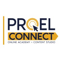 PROEL CONNECT logo - Similar company to Bee Experience - Destino Andes