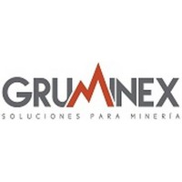 Gruminex, soluciones para minería logo - Similar company to Gl Detect