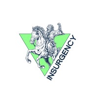 Insurgency Network logo - Similar company to Teal & Orange