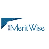 MERITWISE GROUP PUBLIC LTD logo - Similar company to Digimark Ltd