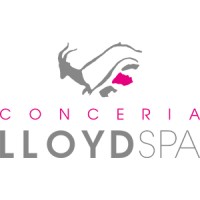 CONCERIA LLOYD S.P.A. logo - Similar company to Conceria M2 S.R.L.