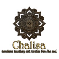 Chalisa logo - Similar company to Decipher Something, Inc.