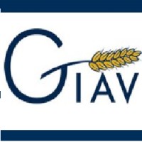 Grain Industry Association of Victoria logo - Similar company to Dsl Pacific