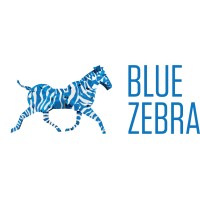 Blue Zebra bvba logo - Similar company to Solumob
