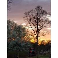 W6 Farms