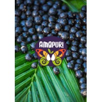 Amapuri logo - Similar company to Kaapuri