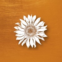 Tuscan Sun Spa & Salon