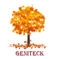 GENITECK.NET logo - Similar company to Mrc De L'Assomption