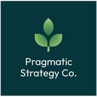 Pragmatic Strategy Co. logo - Similar company to Arcvida, Inc.