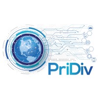 PriDiv Tech logo - Similar company to Vw8