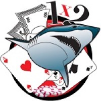 BettingSharks Consultancy logo - Similar company to Thm Group Srl